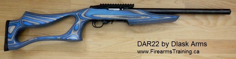 DAR 22 rifle with Sky Blue Boyds' SS Evolution stock